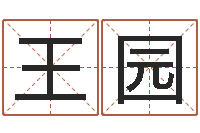 王园名字笔画测试命运-还受生钱属羊的运势