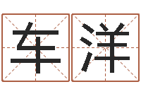 车洋传奇家族名字-免费取名软件