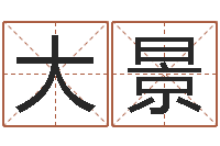 张大景周易姓名预测-婴儿八字命格大全