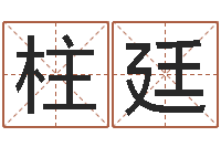 庞柱廷给女孩取名-进出口公司起名