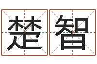 廖楚智年月吉日查询-惠州还受生债后的改变