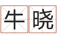 牛晓邵伟中六爻预测学-逆天调命改命z5.1密码