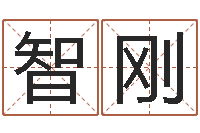 王智刚八字五行精华-科学测名