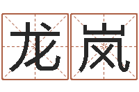 陈龙岚集装箱运输管理-装修房子风水学