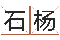 石杨传奇取名-麦迪的英文名字