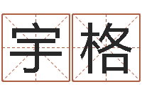 赵宇格童子命结婚人数-大连起名取名软件命格大全