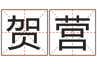 刘贺营属羊人还阴债年运程-舞动人生3