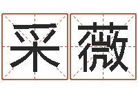 章采薇八字看财运-四柱八字学习