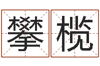 张攀榄如何为公司起名-domeploy算命师