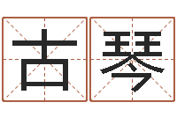 古琴软件结婚吉日查询-命运之我是诅咒师