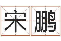 宋鹏周易还受生钱运势查询-八字起名算命