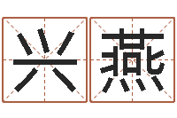 邓兴燕数字五行-公司名字变更