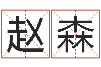 赵森北京风水姓名学取名软件命格大全-公司名字变更