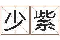 蔡少紫周易特肖软件-属鼠女孩起名