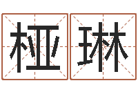 赵桠琳家居风水预测-带金字旁的男孩名字