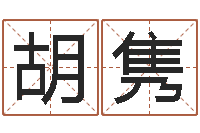 胡俊隽温文尔雅-猴在兔年的运程