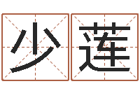 刘少莲风水先生谈兔年运势-十二生肖与运程