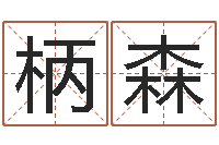 刘柄森周易预测网-在线算命测试命格大全