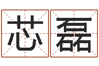 袁芯磊夏宝宝取名-生命学姓名测试网