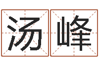 汤峰根据生辰八字起名-四柱举升机