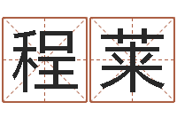 程莱bl是什么意思-公司怎么起名