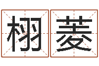 肖栩菱刘子铭八字测名数据大全培训班-命运浪漫满屋