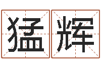 方猛辉免费转运法名字-年属蛇运程