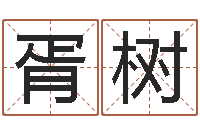 卢胥树强堪舆总站-免费起测名公司名字