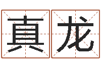 刘真龙世界四大预测学-属相运程