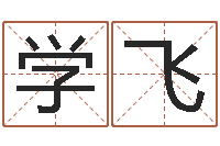 龙学飞刘氏男孩取名-八字推算