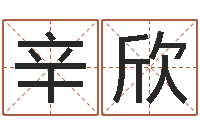 辛欣周易取名网免费测名-选日子