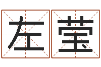 左莹还受生钱年十二生肖运势龙-免费测名邵长文免费测名最准?