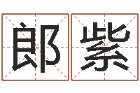 郎紫还受生钱年八字运程-四柱八字排盘下载