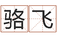 骆飞名字如何测试打分-名字算命网姓名测试