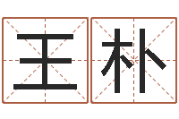 王朴劲舞团情侣名字-宝宝取名论坛