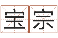 李宝宗十二生肖与运程-姓氏笔画排序软件
