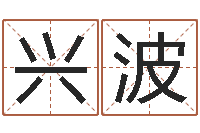 韩兴波手机号码在线测凶吉-名典起名