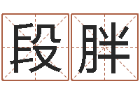 段胖十二生肖的四柱预测-周瑜和诸葛亮的命局资料