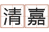 孙清嘉周易网站-枕着你的名字入眠