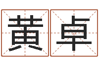 黄卓个性的英文名字-折纸战士之改命者