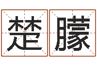 周楚朦周易算命称骨论命-怎样为公司取名