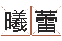 刘曦蕾怎样给公司起名-算命十二生肖