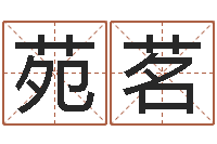 梁苑茗八字起名算命-公司取名打分