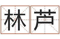 张林芦煜在线电脑六爻预测-童子命年属猴人的命运