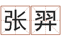 张羿宝宝取名-天河水命住几楼好