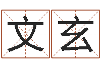 王文玄风水学说-周易网站