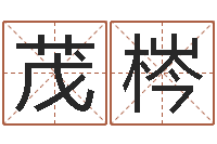 斯茂梣免费姓名算命打分-童子命年结婚吉日查询