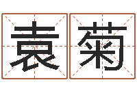 袁菊在线起名网免费取名-周易系列