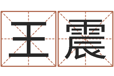 王震津命课-起名测试网