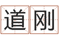 江道刚婴儿起名参考-十二生肖哪个属相好